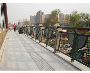 上海复合式护栏 (19)